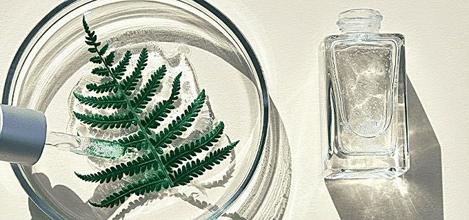 BEAUTY E SOSTENIBILITÀ: SFIDE, OPPORTUNITÀ E NUOVI PROGETTI PER RIDURRE L’IMPATTO AMBIENTALE DELL’INDUSTRIA COSMETICA