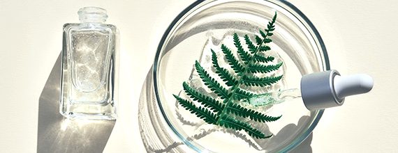 UNA FILIERA COSMETICA CIRCOLARE: COME TRASFORMARE LE SFIDE IN OPPORTUNITÀ